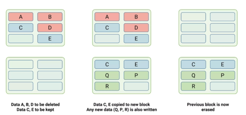 image-20230814013121589